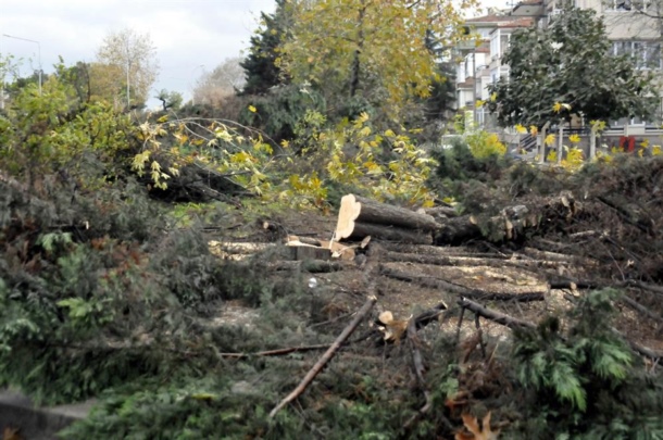 yalova3.jpg yalova3.jpg